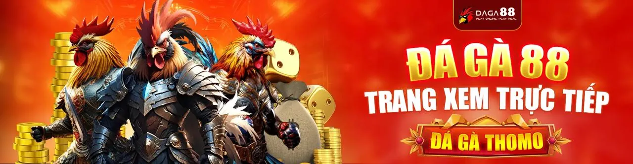 Trận đá gà kịch tính tại Mibet Trang Chủ Chính Thức